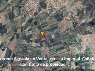 Foto 10 de VENDO TERRENO AGRICOLA 3.2018 HA, MANZANA EN PRODUCCION - NUEVO IMPERIAL CAÑETE