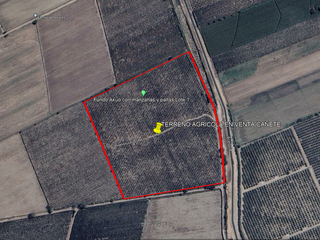 Foto 9 de VENDO TERRENO AGRICOLA 3.2018 HA, MANZANA EN PRODUCCION - NUEVO IMPERIAL CAÑETE