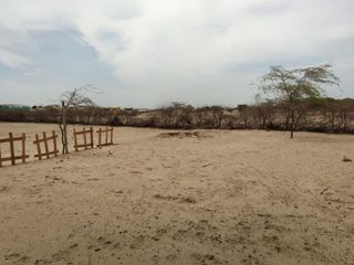 Foto 8 de VENTA DE LOTES PARA CASAS DE CAMPO