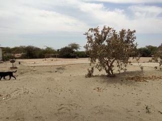 Foto 13 de VENTA DE LOTES PARA CASAS DE CAMPO