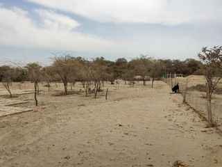 Foto 10 de VENTA DE LOTES PARA CASAS DE CAMPO