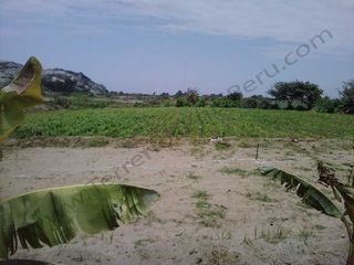 Foto 3 de Terreno en La Libertad Agricola y Pecuario EX Establo Lechero – 10,000 m2