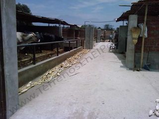 Foto 2 de Terreno en La Libertad Agricola y Pecuario EX Establo Lechero – 10,000 m2