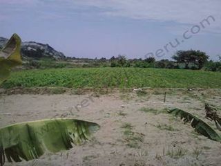 Foto 5 de Terreno en La Libertad Agricola y Pecuario EX Establo Lechero – 10,000 m2