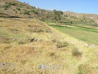 Foto 5 de VENTA TERRENO RUSTICO, SABANDIA, AREQUIPA