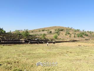 Foto 6 de VENTA TERRENO RUSTICO, SABANDIA, AREQUIPA