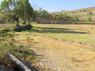 Foto 1 de VENTA TERRENO RUSTICO, SABANDIA, AREQUIPA