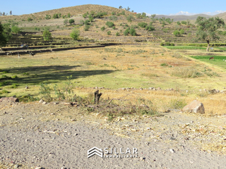 Foto 3 de VENTA TERRENO RUSTICO, SABANDIA, AREQUIPA