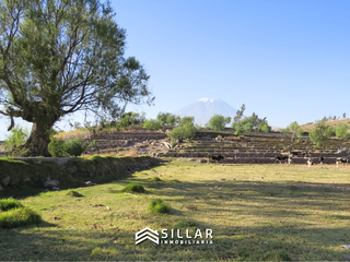 Foto 7 de VENTA TERRENO RUSTICO, SABANDIA, AREQUIPA