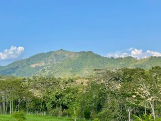 Majestuoso terreno con bosque nativo y vista a los nevados en Tipuana Condominio Campestre. Cerritos. Pereira - Colombia.