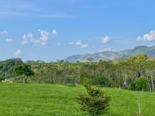 Majestuoso terreno con bosque nativo y vista a los nevados en Tipuana Condominio Campestre. Cerritos. Pereira - Colombia.