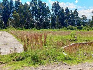 Terrenos en VENTA de 200m2, excelente ubicación de Conocoto, sector la Salle. Quito, Ecuador