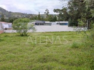 Foto 5 de CASA PEQUEÑA EN RENTA, CHALLUABAMBA