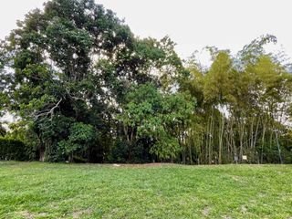 Magnífico terreno plano en el Tigre Condominio Campestre con bosque nativo. Cerritos. Pereira - Colombia