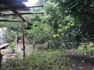 VENTA QUINTA 18.317  M2 SECTOR GUAYLLABAMBA