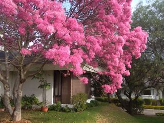 Vendo Casa, Pusuqui, Pomasqui, Quito Ecuador