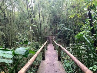 reserva natural magica en bosque de Pacoche Manta