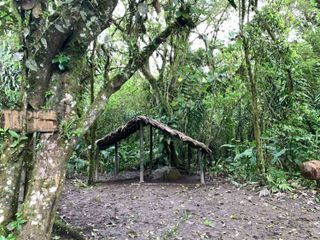 reserva natural magica en bosque de Pacoche Manta