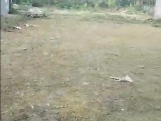 Foto 1 de rento o venta 2160 m2 con bodega de 400m2 frente a la vía Quevedo km7