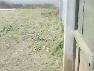 Foto 7 de rento o venta 2160 m2 con bodega de 400m2 frente a la vía Quevedo km7