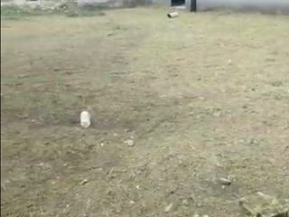 Foto 4 de rento o venta 2160 m2 con bodega de 400m2 frente a la vía Quevedo km7