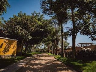 Foto 6 de VENDO CASA DE CAMPO EN Calle Cuatro Bocas - PACHACAMAC