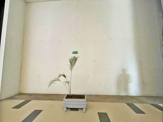 Foto 3 de VENTA LOCAL COMERCIAL EN PEÑALISA  MALL RICAURTE, CUNDINAMARCA, COLOMBIA 2A