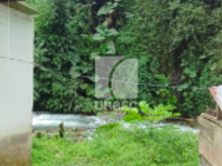 Foto 6 de VENTA- OPORTUNIDAD EN VENTA  GRANJA PORCINA EN CANTON ECHEANDIA EN LA PROVINCIA DE BOLIVAR /23URB009