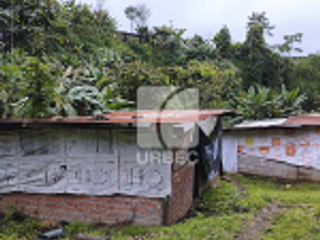 Foto 8 de VENTA- OPORTUNIDAD EN VENTA  GRANJA PORCINA EN CANTON ECHEANDIA EN LA PROVINCIA DE BOLIVAR /23URB009
