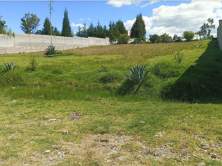 Foto 9 de TERRENO EN VENTA, ALANGASÍ