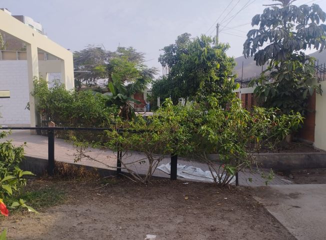 place photo 35