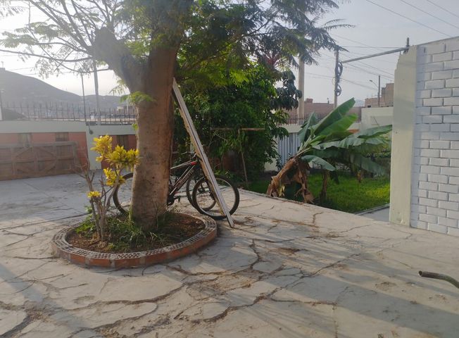 place photo 26