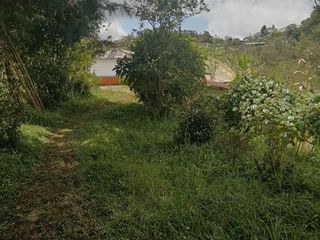 Venta Finca Agrícola Santo Domingo Antioquia
