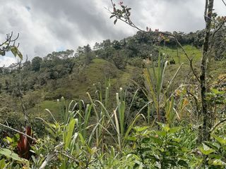 Venta Finca Agrícola Santo Domingo Antioquia