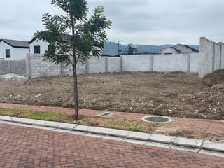 Foto 3 de TERRENOS EN VENTA