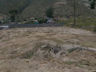 Foto 15 de Venta de Terreno Mitad del Mundo Via Calacalí 8.400 m²  Negociable