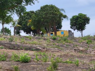 Hermoso y seguro terreno en Urbanización Lomas del Bosque