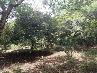 Foto 3 de EN LA VEREDA LOS MANUELES. VENDEMOS LOTE ECONOMICO.