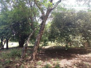 Foto 1 de EN LA VEREDA LOS MANUELES. VENDEMOS LOTE ECONOMICO.