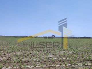 Foto 5 de MEJOR PRECIO!!! TERRENO EN VENTA EN PISCO CERCA AL MAR PARA INDUSTRIA O INVERSIÓN