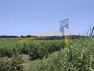Foto 4 de MEJOR PRECIO!!! TERRENO EN VENTA EN PISCO CERCA AL MAR PARA INDUSTRIA O INVERSIÓN
