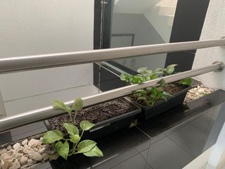 ¡Invierte en el éxito! Venta de Hotel Central Point en el Centro de Cali. Precio negociable.