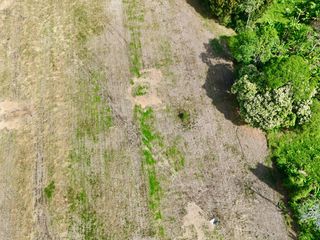 lote de una cuadra en Montenegro Quindio