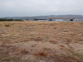 Alquiler de terreno - Sector Petrillo km. 30