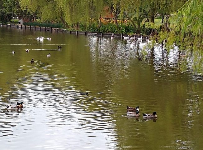 place photo 20
