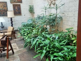 Foto 6 de HERMOSA CASA EN VENTA EN LA CALLE MANUEL UGARTECHE - SELVA ALEGRE
