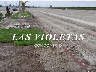Venta De Lotes Para Casa De Campo En Condominio Las Violetas De San Antonio - En Chincha Baja