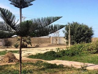 Foto 1 de Venta de Terreno Comercial en Grocio Prado, Chincha, Ica