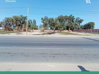 Foto 4 de VENTA TERRENO – CHINCHA BAJA