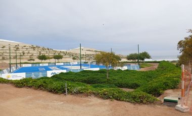 place photo 12